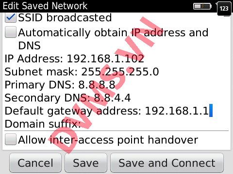 dns-blackberry